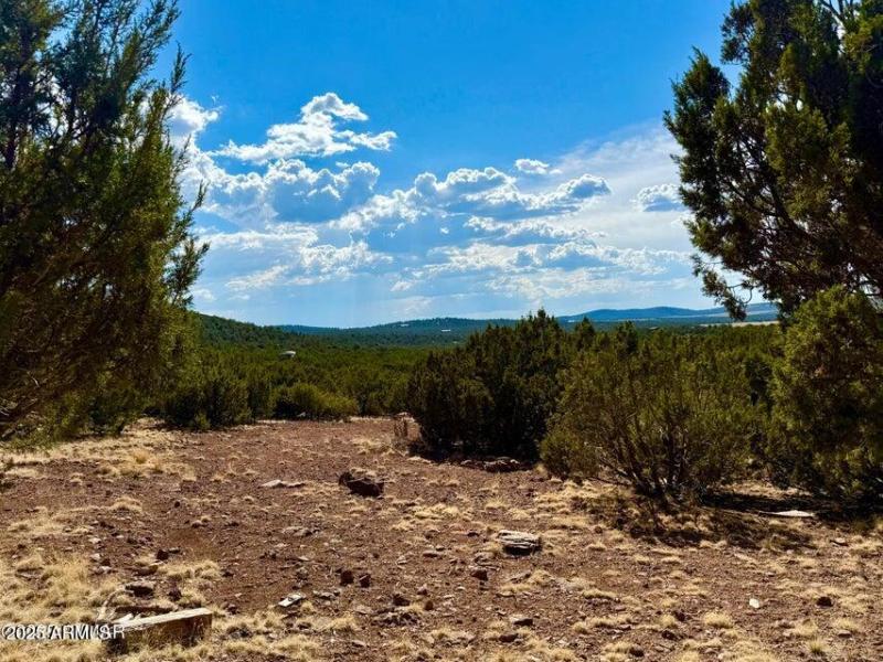 20250824005547259144000000-o