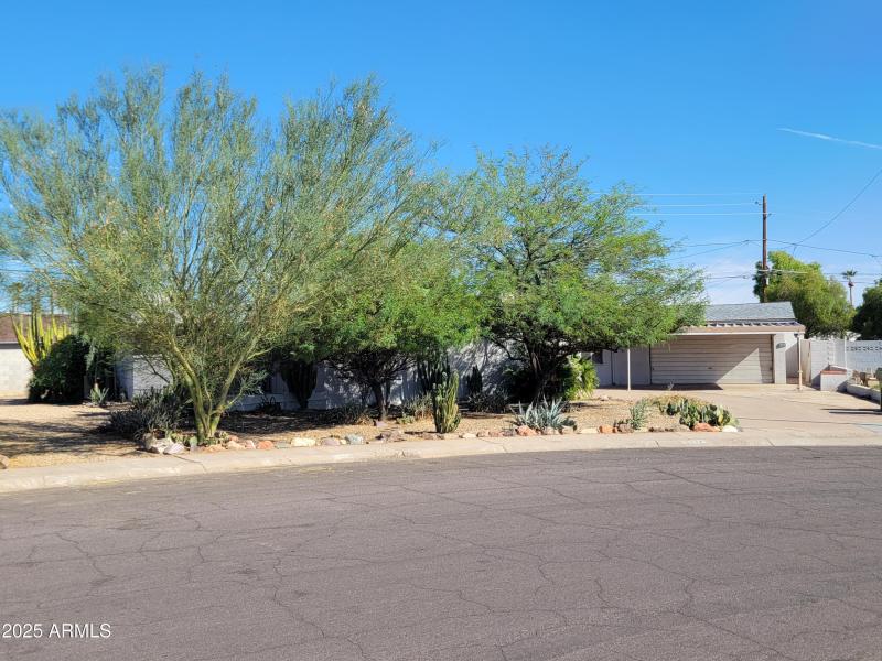 FRONT DESERT LANDSCAP