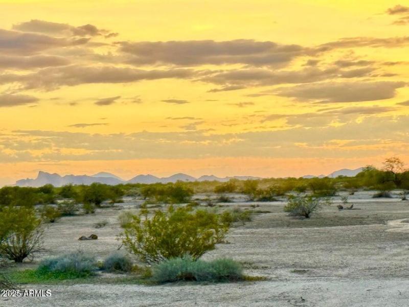 20250923060153168000000000-o