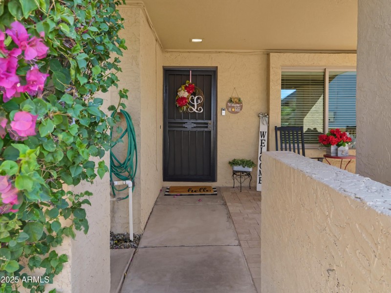 High Resolution00003