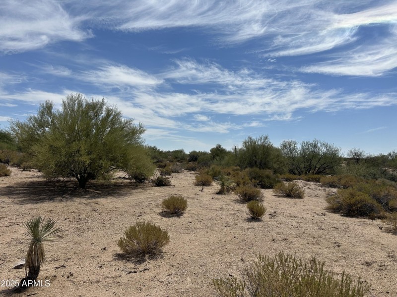 387 EF Relatively Flat Site