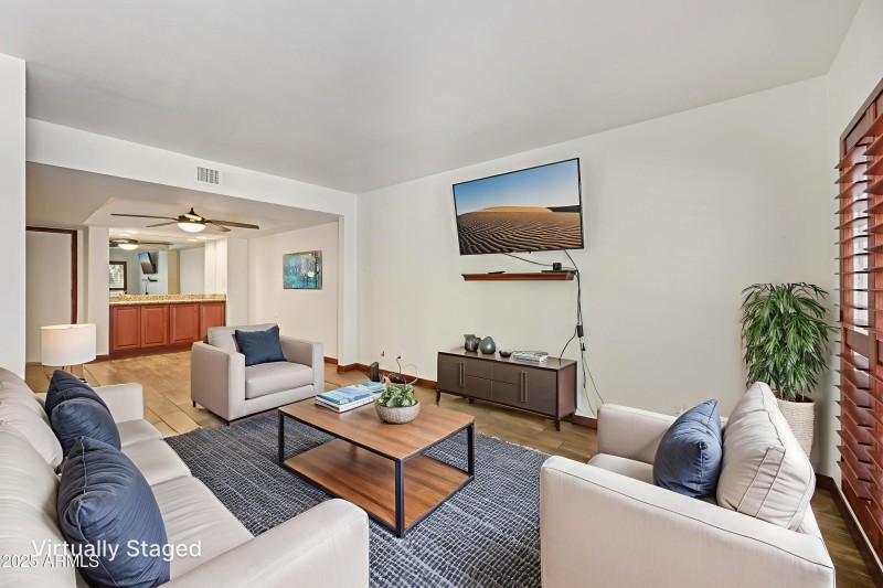 2-print-E La Diosa Dr-S2109-006 virtuall