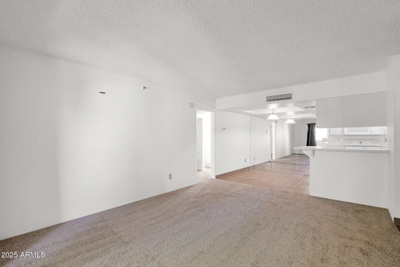 10-web-or-mls-P1303928