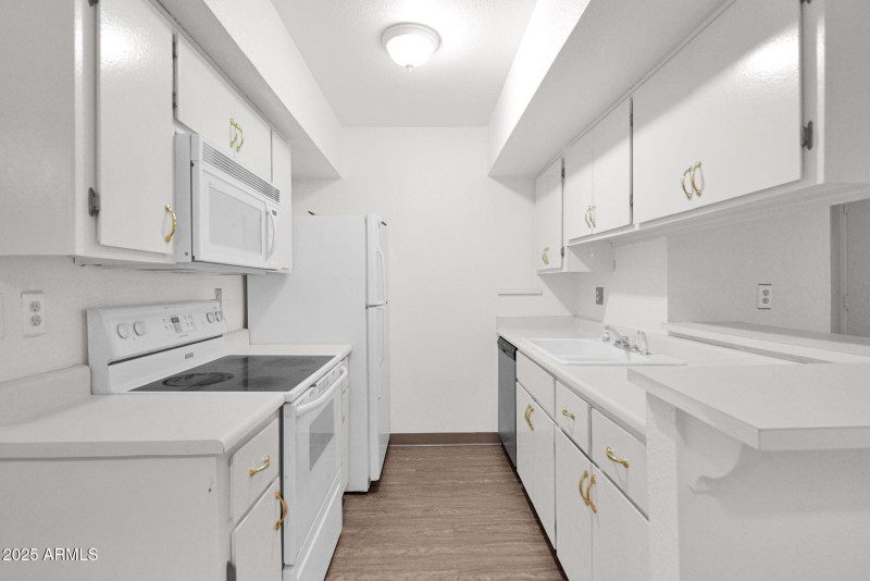 15-web-or-mls-P1303934