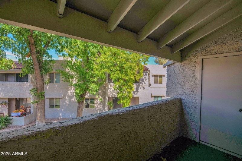 25-web-or-mls-P1303946