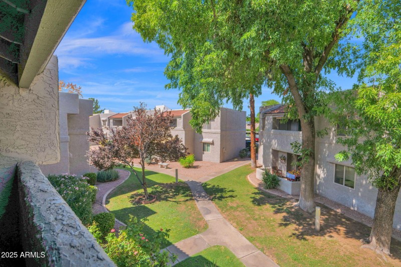 26-web-or-mls-P1303948