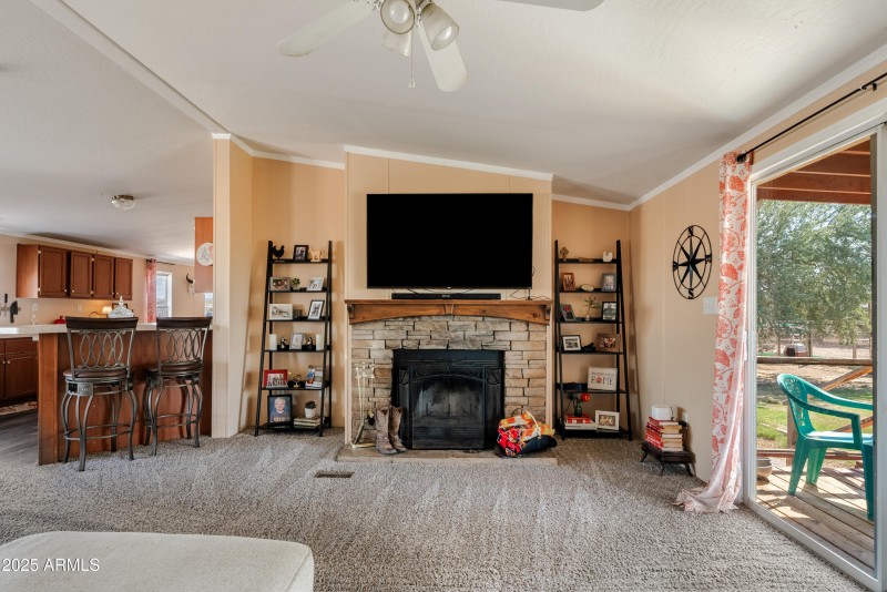 Wood burning fireplace