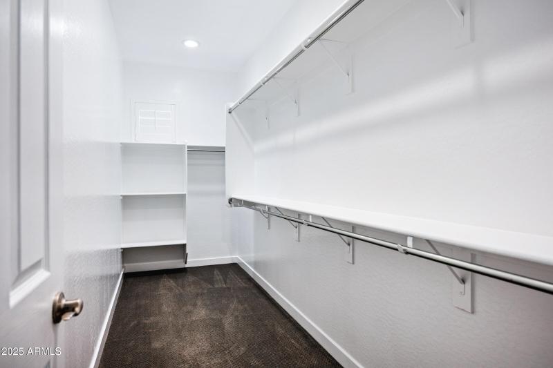 Primary Walk-In Closet #1