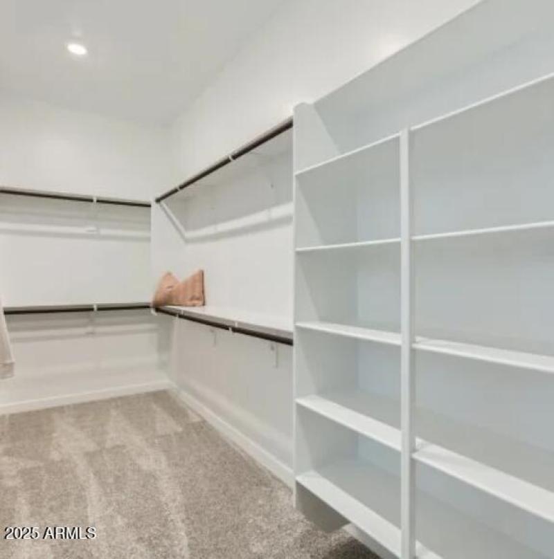 Owners Walk in Closet