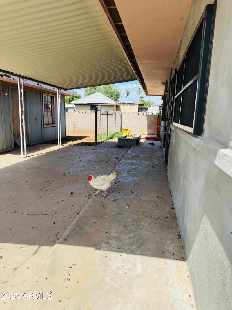 Photo Sep 18 2025, 1 40 12 PM