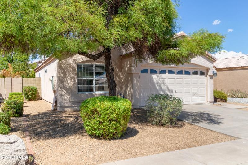 0002-02 - Campo Bello