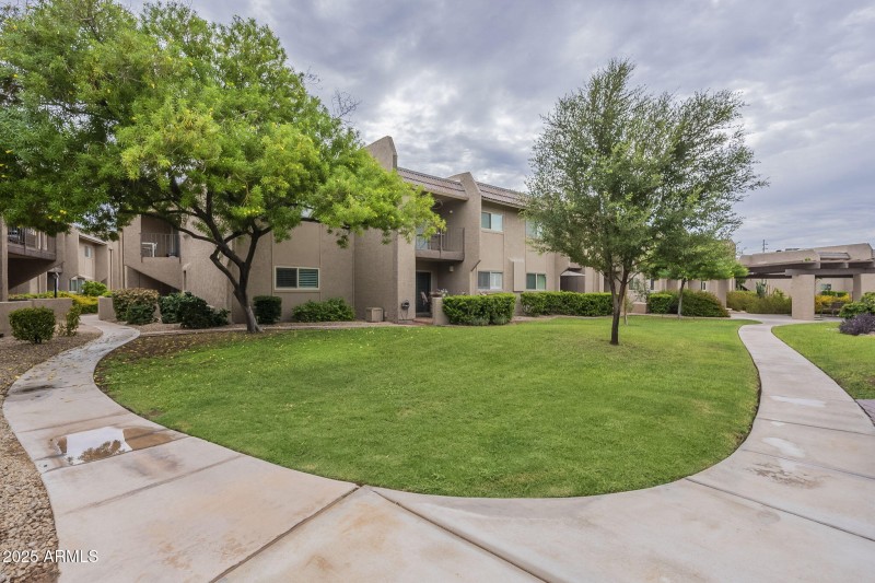 43-web-or-mls-Chaparral-43