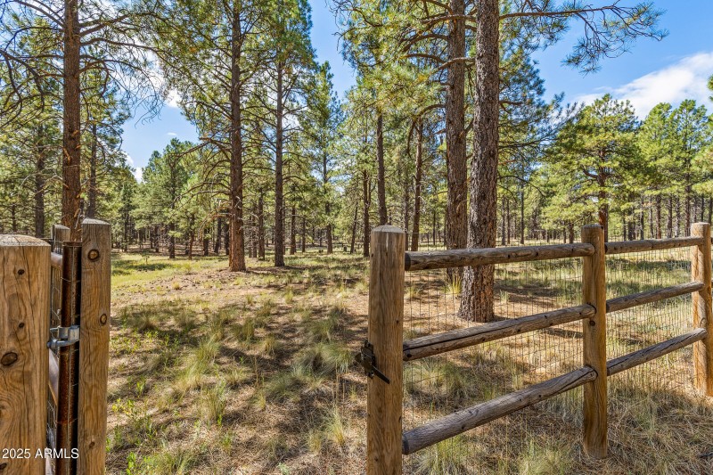 National Forest Access