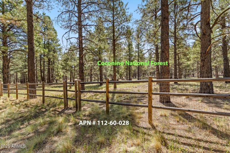 National Forest Access