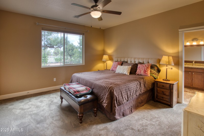 Paxmanphoto_PAX_3330