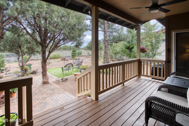 Paxmanphoto_PAX_3347