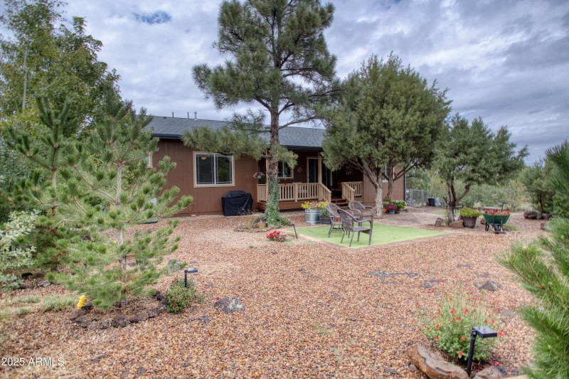 Paxmanphoto_PAX_3354