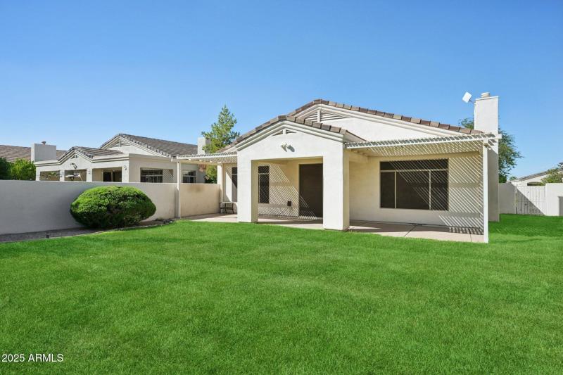 Views of the backyard