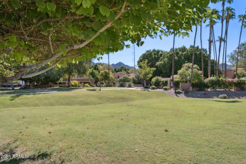 25-web-or-mls-10420-n-11th-pl-3