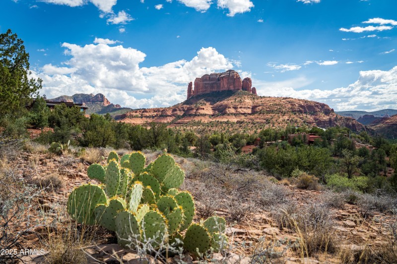 5.3 Acres in Back O' Beyond