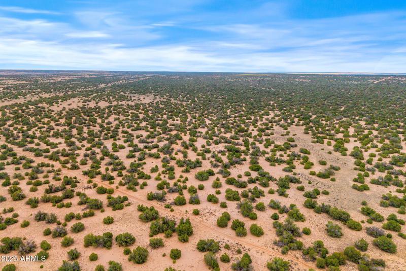 Parcel20509009A-StJohns-AZ-2