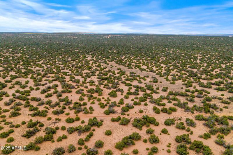 Parcel20509009A-StJohns-AZ-3