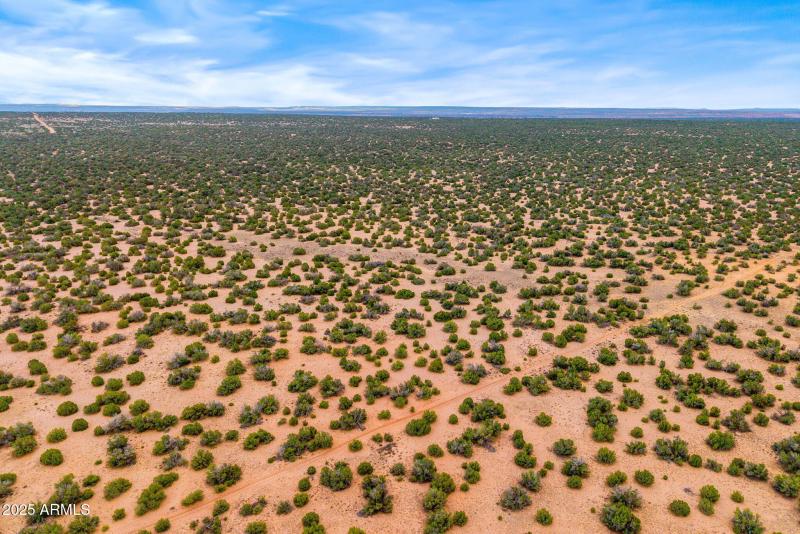 Parcel20509009A-StJohns-AZ-4