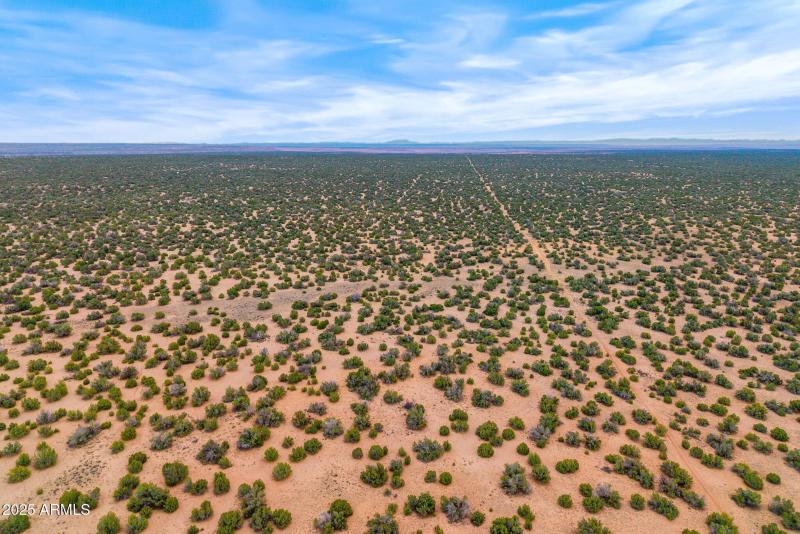 Parcel20509009A-StJohns-AZ-5