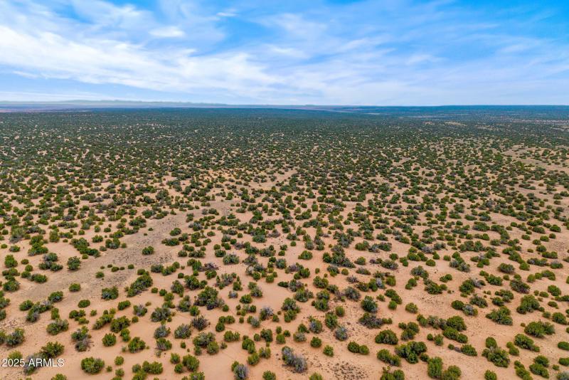 Parcel20509009A-StJohns-AZ-6