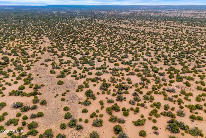 Parcel20509009A-StJohns-AZ-7