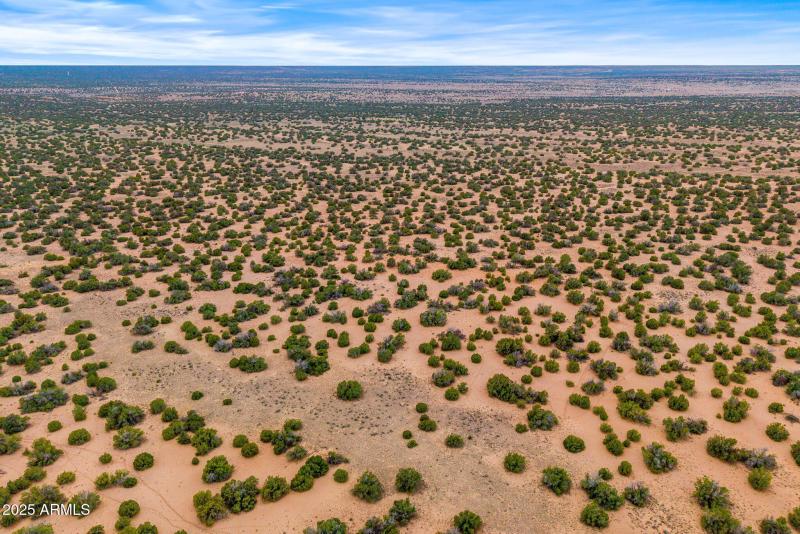 Parcel20509009A-StJohns-AZ-8