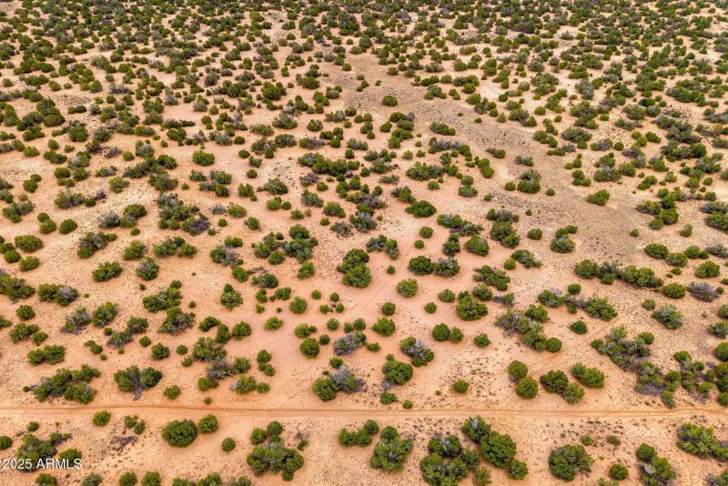 Parcel20509009A-StJohns-AZ-10