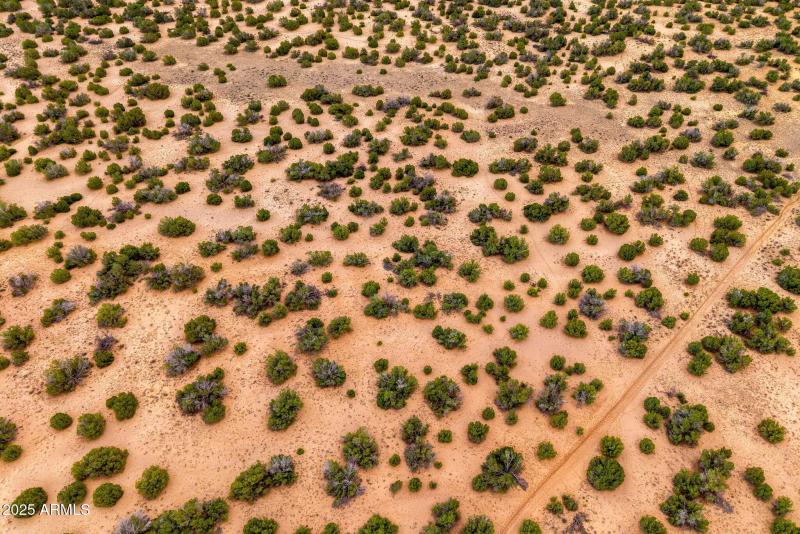 Parcel20509009A-StJohns-AZ-11