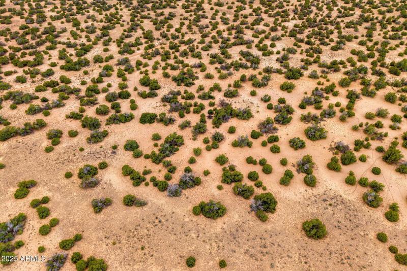 Parcel20509009A-StJohns-AZ-12