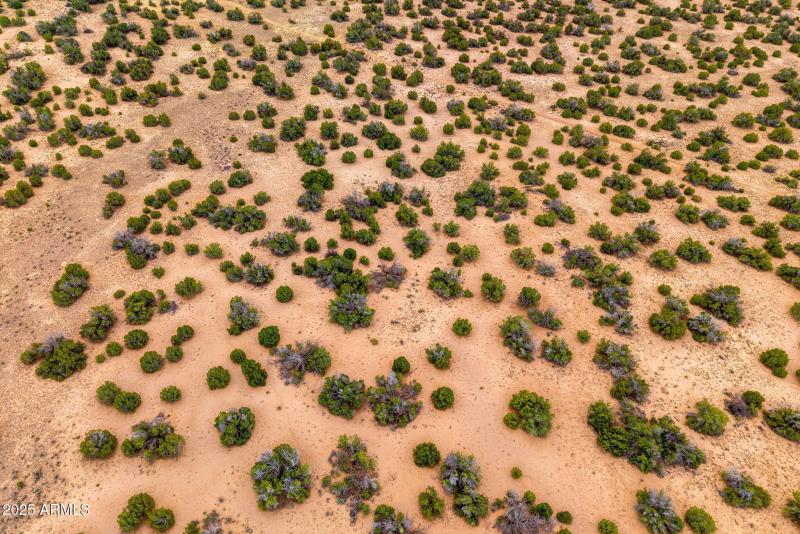 Parcel20509009A-StJohns-AZ-13