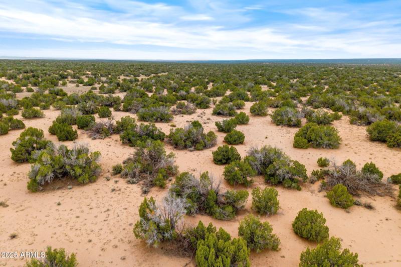 Parcel20509009A-StJohns-AZ-14