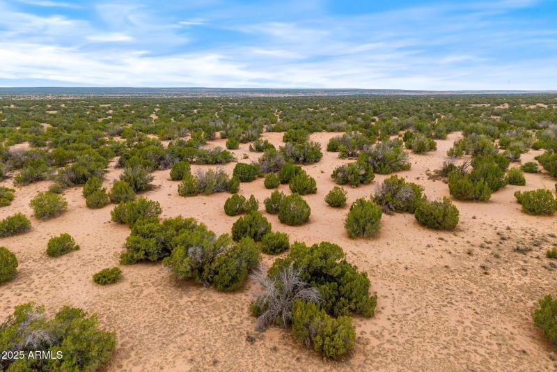 Parcel20509009A-StJohns-AZ-15