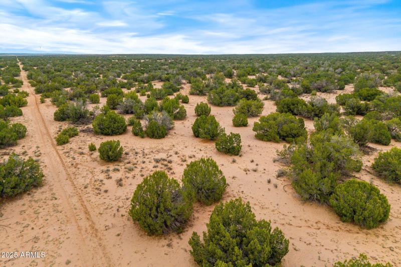 Parcel20509009A-StJohns-AZ-16