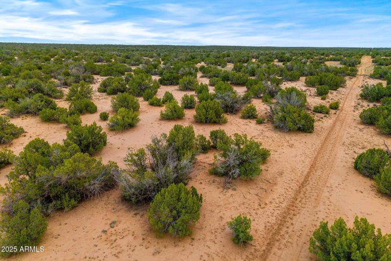 Parcel20509009A-StJohns-AZ-17