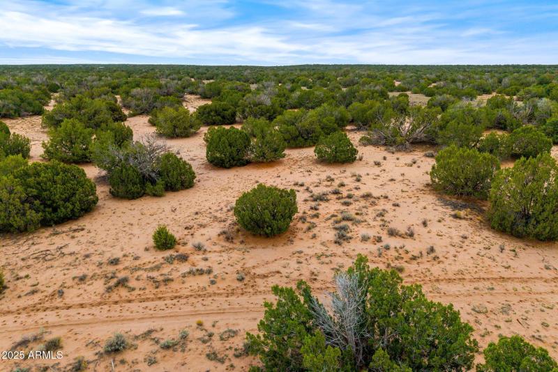 Parcel20509009A-StJohns-AZ-18