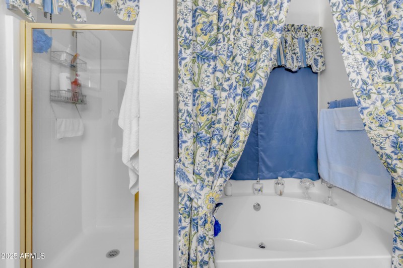 Primary Tub & Shower