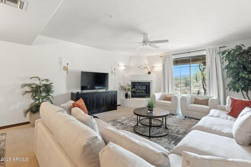 25-web-or-mls-Mule-25