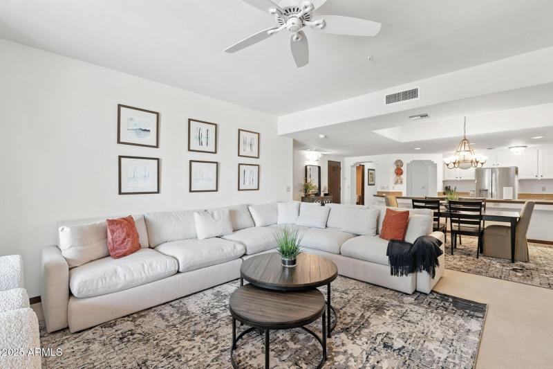 26-web-or-mls-Mule-26