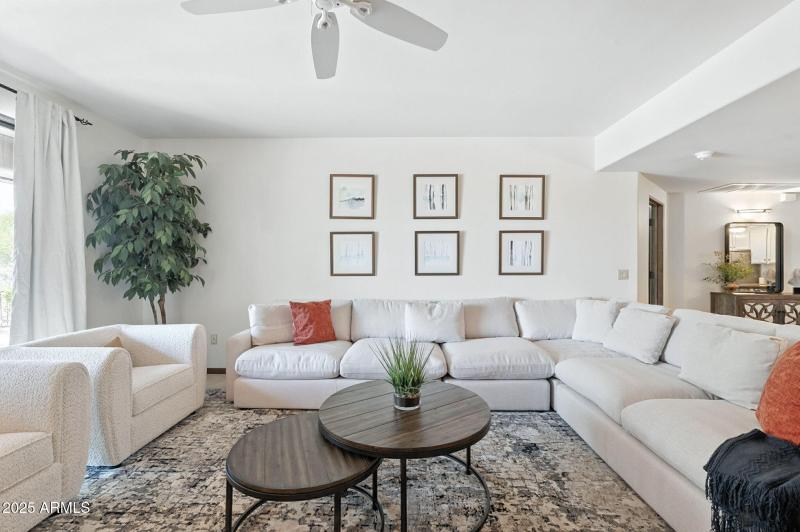 28-web-or-mls-Mule-28