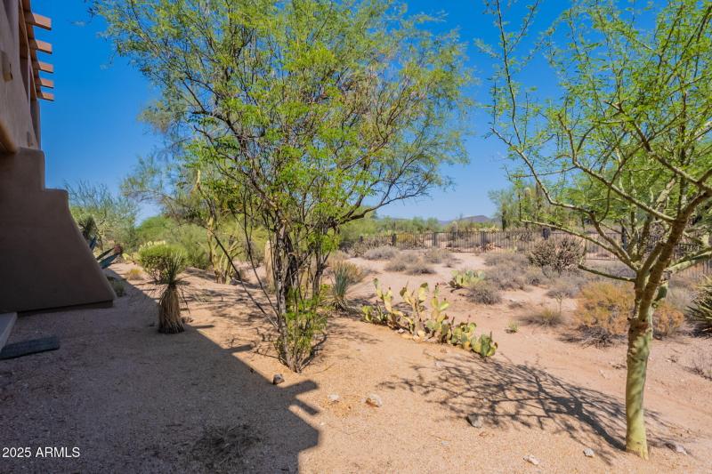 51-web-or-mls-Mule-51