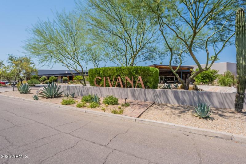 52-web-or-mls-Mule-52