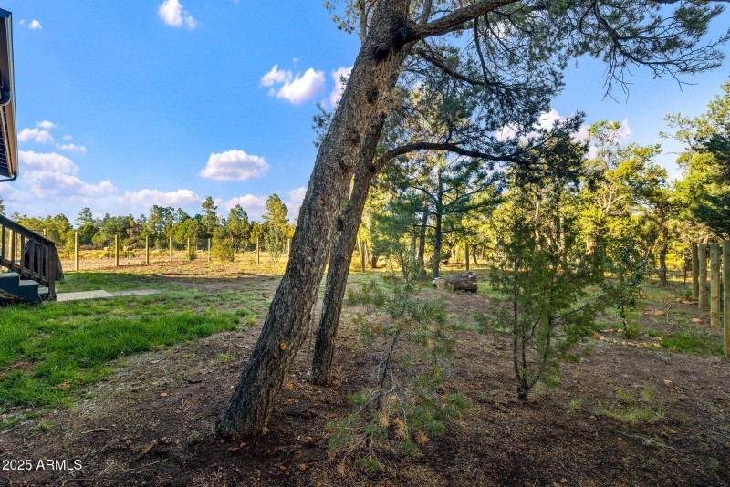 1514ShadeTreeDr-HeberOvergaard-AZ-Exteri