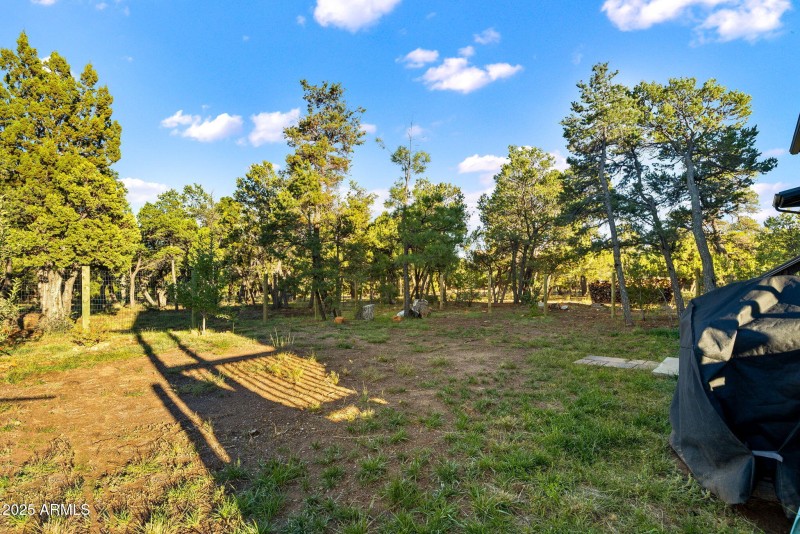 1514ShadeTreeDr-HeberOvergaard-AZ-Exteri