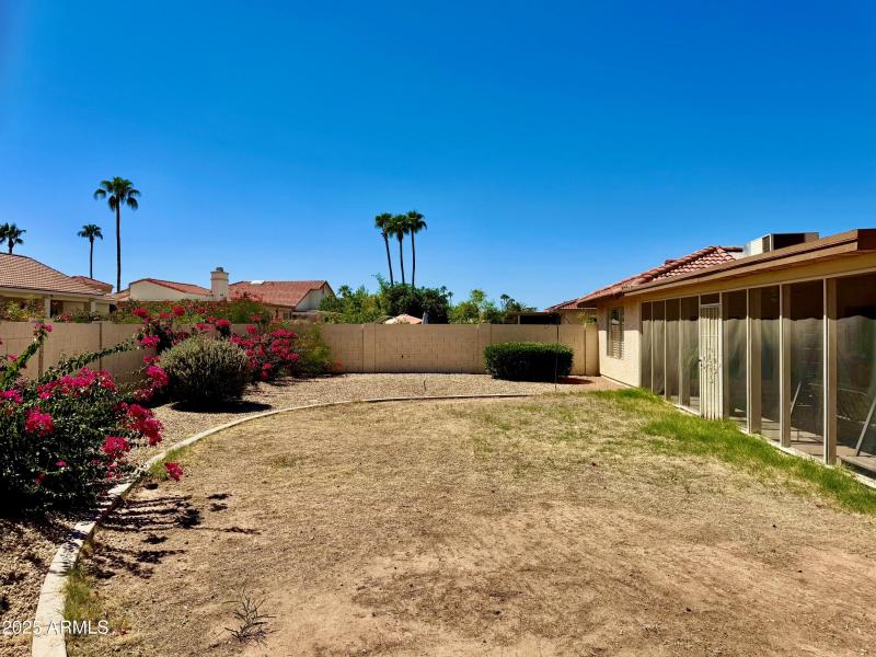 41 South-Facing Backyard