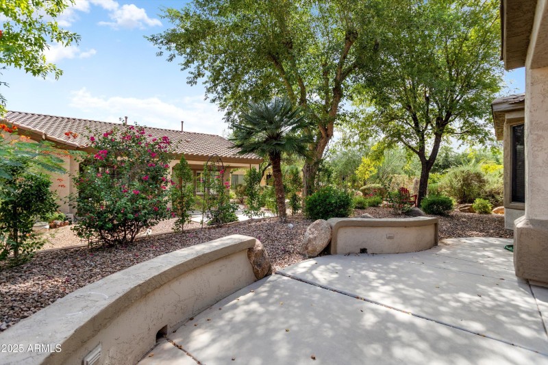 NEW TREES ADDED AT BACK PROPERTY LINE